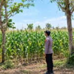 Dukung Asta Cita Presiden, Bhabinkamtibmas Polsek Tambakboyo Monitoring Lahan Jagung Binaan