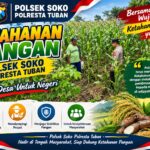 Polsek Soko Polresta Tuban Turun Langsung Cek Tanaman Jagung Warga