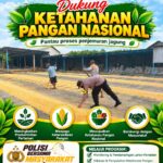 BHABINKAMTIBMAS MONITORING GUDANG PENYIMPANAN DAN PENGERINGAN JAGUNG DI DESA BINAAN