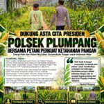 Polsek Plumpang Polresta Tuban Turun Langsung Cek Tanaman Jagung Warga