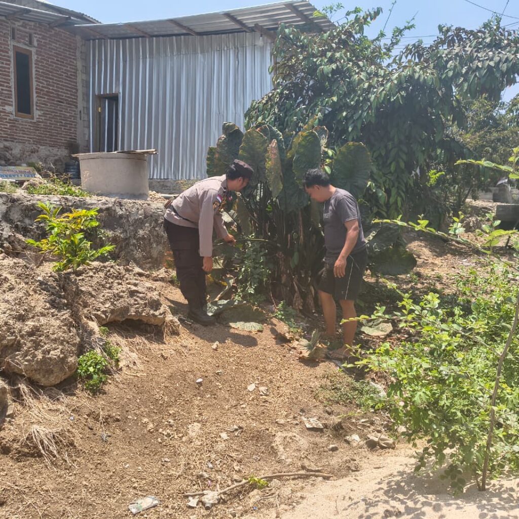Bhabinkamtibmas Desa Labangka Sambangi Pekarangan Pangan Produktif Warga di Dusun Beringin Jaya