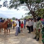 Polsek Pajo Bersama TNI Amankan Pacuan Kuda Tradisional Bupati Cup 2026 di Lembah Kara