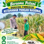 Polri dukung progam Astacita, Polsek Jatirogo Polresta Tuban Turun Cek Tanaman jagung Warga di Desa Kebonharjo