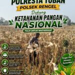 Polri Dukung Astacita, Polsek Rengel Polresta Tuban Turun Cek Tanaman Jagung Warga di Desa Sawahan