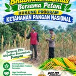 Polsek Palang Dukung Ketahanan Pangan Nasional Melalui Pemantauan Lahan Jagung