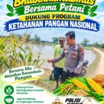 Polsek Palang Dukung Ketahanan Pangan Nasional Melalui Pemantauan Lahan Jagung