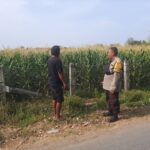Dukung Program Asta Cita Presiden RI, Bhabinkamtibmas Desa Kukin Dorong Petani Manfaatkan Lahan untuk Tanaman Hortikultura