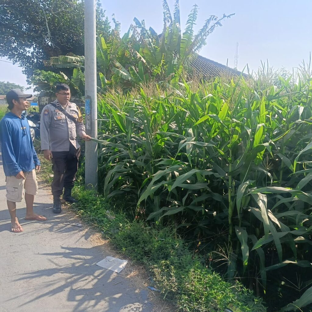Bhabinkamtibmas Desa Terara Laksanakan Silaturahmi dan Monitoring Ketahanan Pangan di Terara Barat